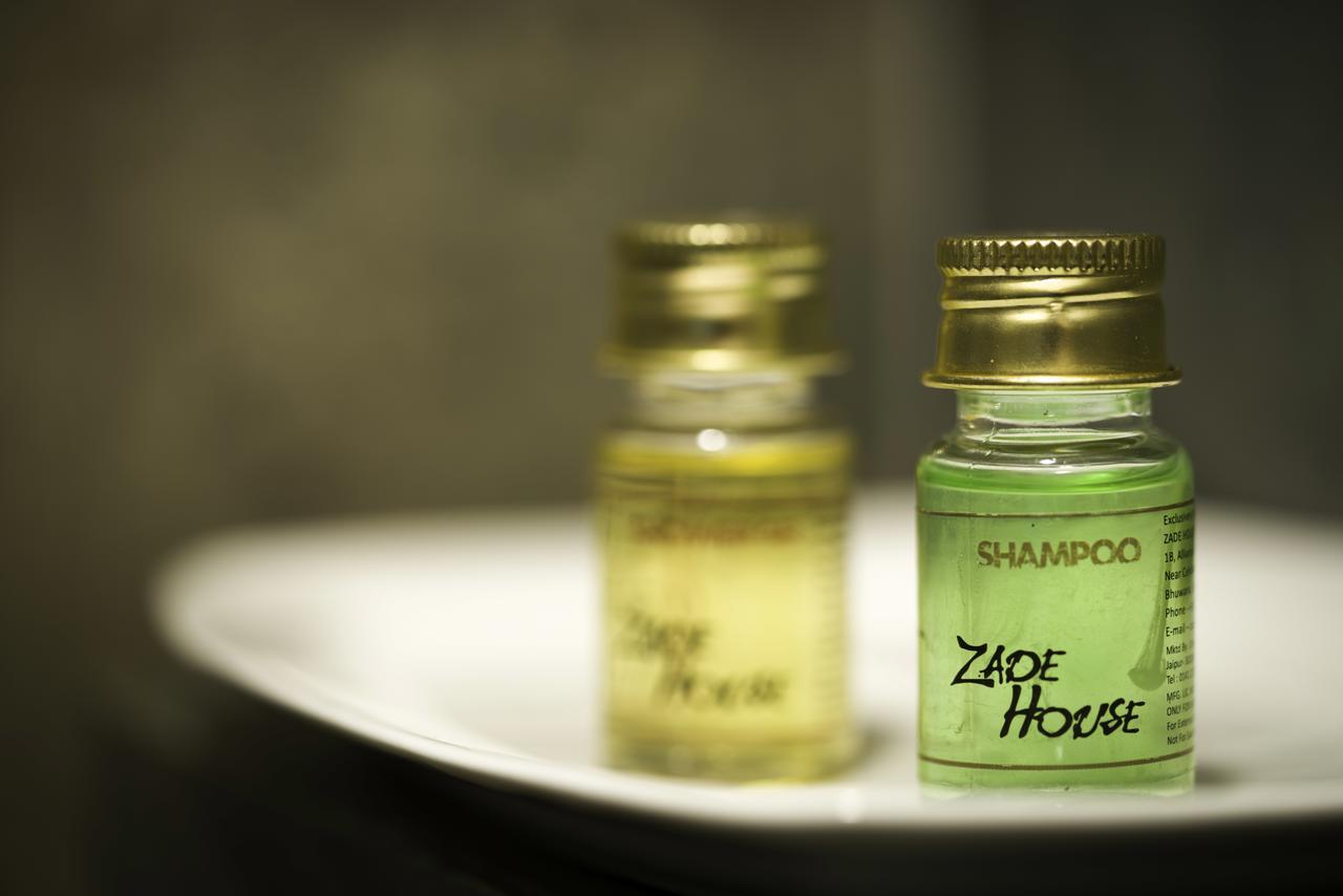 Zade House Bed & Breakfast Udaipur Exterior photo